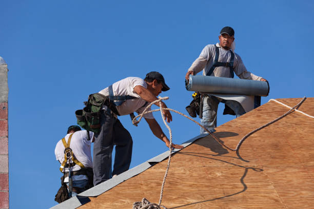 Best Metal Roofing Contractor  in Tishomingo, OK