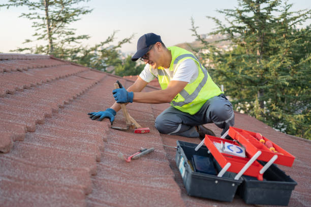 Best Sealant for Roof  in Tishomingo, OK