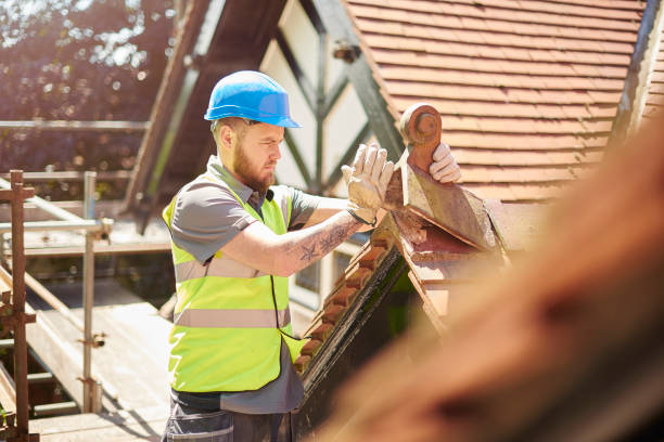 Best Roof Gutter Cleaning  in Tishomingo, OK